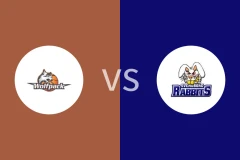 哥本哈根狼队vs斯文堡格比分预测分析 2025/11/01