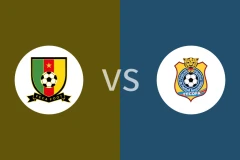 喀麦隆vs民主刚果比分预测分析 2025/11/14