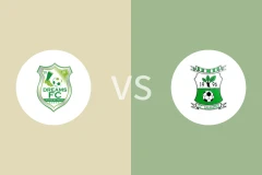 加纳梦想FCvs萨马岛比分预测分析 2025/11/02