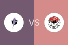 湖滨闪电女篮vs珀斯红背蜘蛛女篮比分预测分析 2025/05/16