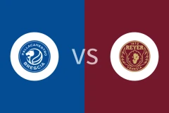 布雷西亚vs威尼斯雷耶比分预测分析 2025/12/28