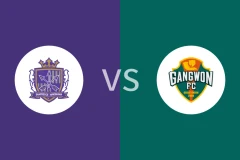 广岛三箭vs江原FC回放录像 2025/11/04