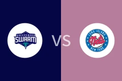 格林斯伯勒蜂群vs长岛篮网比分预测分析 2025/11/23