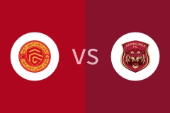 广西平果vs上海嘉定汇龙回放录像 2025/11/01