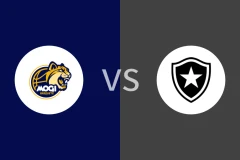 摩日达斯克鲁济斯vs博塔弗戈比分预测分析 2025/10/30