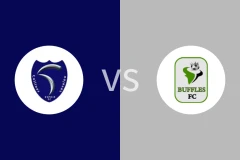 希望萨瓦鲁vs博尔古水牛比分预测分析 2025/12/26