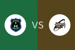 特拉里勇士vs圣文森都柏林比分预测分析 2025/11/02