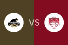 TK汉诺威女篮vs赫利女篮比分预测分析 2025/12/07