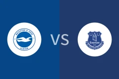 布莱顿vs埃弗顿比分预测分析 2025/01/25