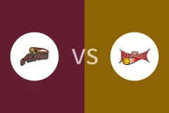 越谷阿尔法vs三远新凤凰比分预测分析 2025/11/16