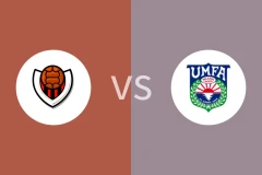 维京古vs阿费查尔丁比分预测分析 2025/06/30