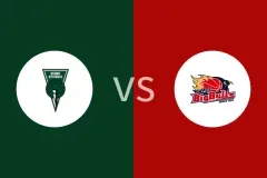 神户鹳鸟vs岩手大公牛比分预测分析 2025/11/16