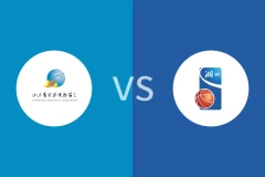 山东女篮vs湖北女篮回放录像 2025/11/08