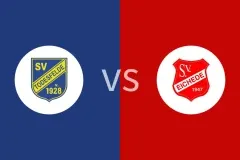 托德斯费尔德vs艾谢德比分预测分析 2025/11/02