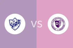 米德兰vs维拉多尔米尼比分预测分析 2025/06/30