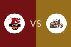 安徽皖江龙vs山东蜜獾回放录像 2025/12/25