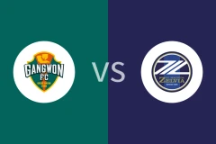 江原FCvs町田泽维亚回放录像 2025/11/25