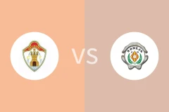 奥丁恩vs索内哈比分预测分析 2025/11/03