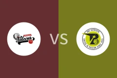 纽伦堡vs梅迪拜罗伊特比分预测分析 2025/11/23