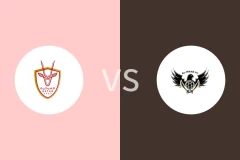 艾马希亚vs阿尔瓦布比分预测分析 2025/11/04