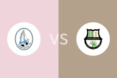 瓦卡拉vs卡塔尔阿赫利比分预测分析 2025/10/30