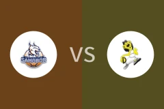 萨莫波尔vs福尼尔比分预测分析 2025/11/03