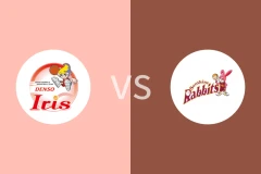 电装小仙女女篮vs丰田阳光女篮比分预测分析 2025/12/14