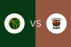 洪卡vs考哈约恩比分预测分析 2025/12/17