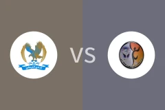 费萨里vs沙汉比分预测分析 2025/11/05