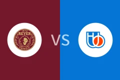 威尼斯雷耶vs特雷维索比分预测分析 2026/01/06