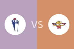 斯洛加vs卡卡94比分预测分析 2026/01/06