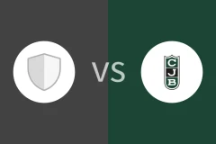 绍莱vs尤文图德比分预测分析 2025/12/18