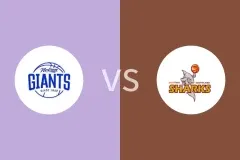 尼尔逊巨人vs南部鲨鱼比分预测分析 2025/07/03