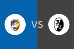 比尔森vs弗赖堡回放录像 2025/11/28