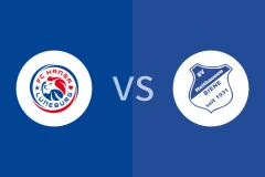 吕内堡vs霍尔特豪森蜜蜂比分预测分析 2025/11/02