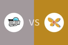 伊利里亚女篮vs拖里格拉瓦女篮比分预测分析 2025/10/31