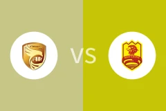 大连鲲城vs青岛红狮回放录像 2025/07/27