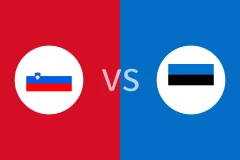 斯洛文尼亚vs爱沙尼亚回放录像 2025/11/29