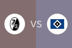 弗赖堡vs汉堡回放录像 2026/01/10