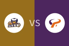 山东蜜獾vs杭州经纬回放录像 2025/12/29