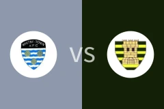 威特比vs莫佩斯镇比分预测分析 2025/12/26