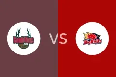 奈良雄心vs岩手大公牛比分预测分析 2025/12/07