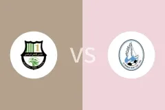 卡塔尔阿赫利vs瓦卡拉比分预测分析 2025/12/25