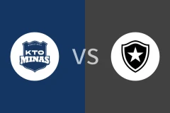 米纳斯vs博塔弗戈比分预测分析 2025/12/19