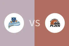 霍穆托夫猎豹vs比尔森比分预测分析 2025/11/01