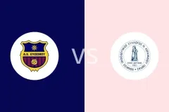 埃沃斯莫vs尼奥科拉米迪欧比分预测分析 2025/12/21