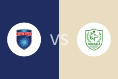 伯塔斯女篮vs科贾埃利卡丁女篮比分预测分析 2025/11/23