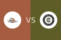 哥本哈根狼队vs哥本哈根比分预测分析 2025/12/19