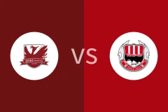 飞鸟FCvs大分红温泉比分预测分析 2025/07/06