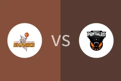 南部鲨鱼vs印度黑豹比分预测分析 2025/05/14
